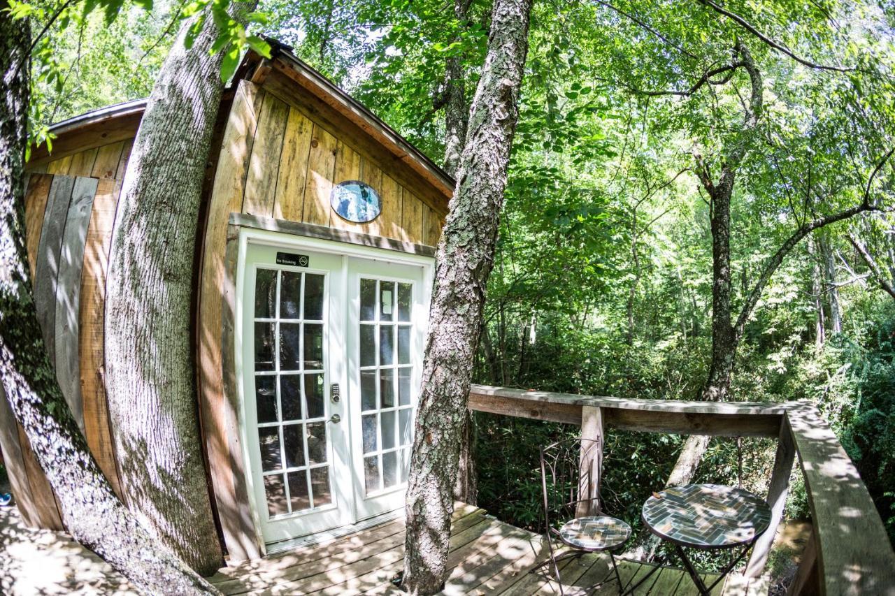 Mountain Harbour B&B Roan Mountain Exterior foto